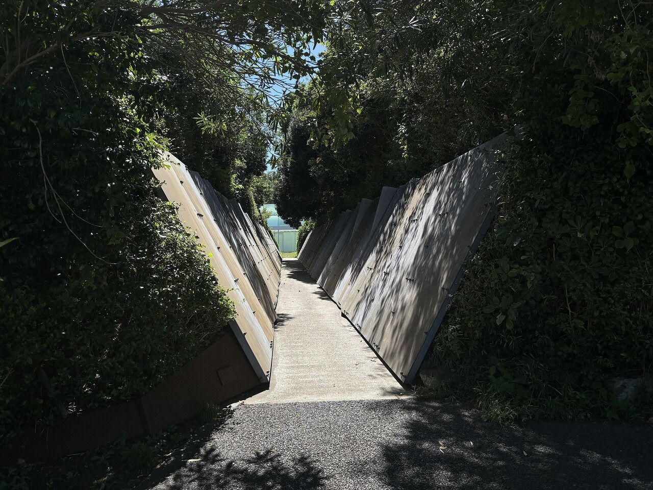 横須賀美術館 瑛九展 (22)