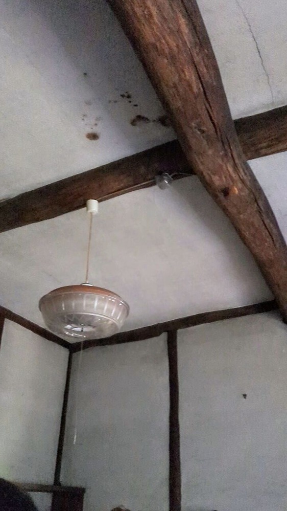 PXL_20231125_053538936.TS_exported_45542