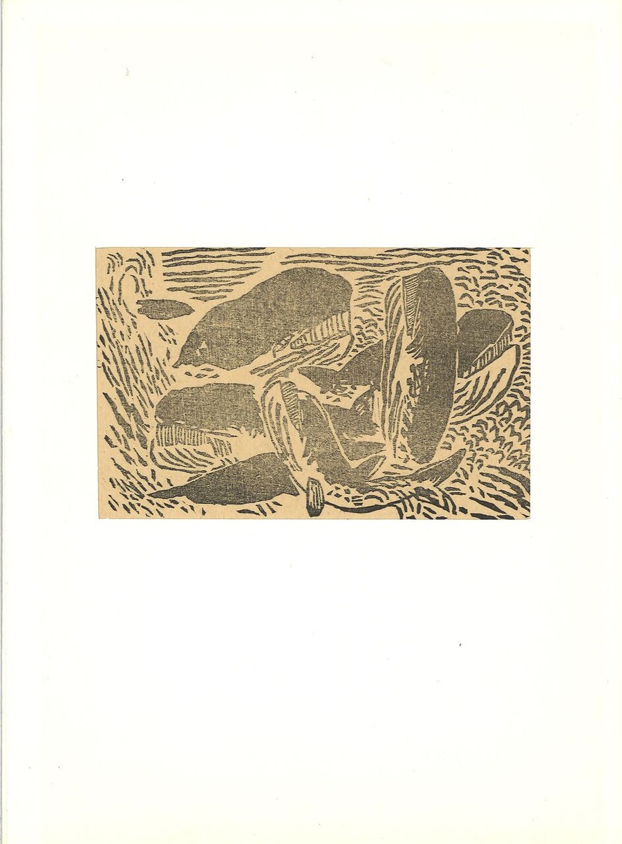 20241002144125_00001