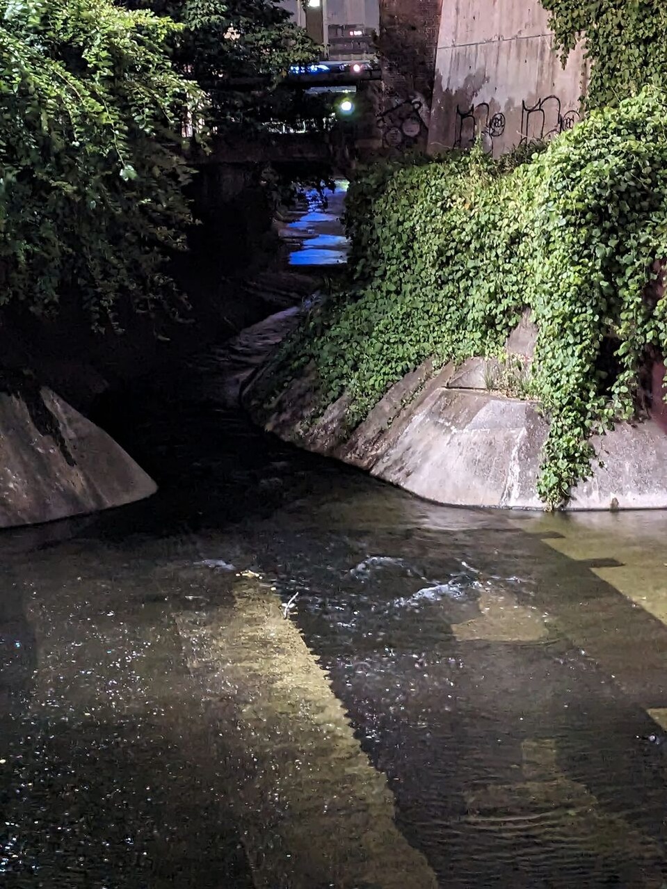 475360496_1329071118404062_4002003167387371489_n