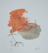 深沢紅子「ふしぐろせんのう」