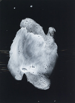 20141109_takiguchi2014_III_33