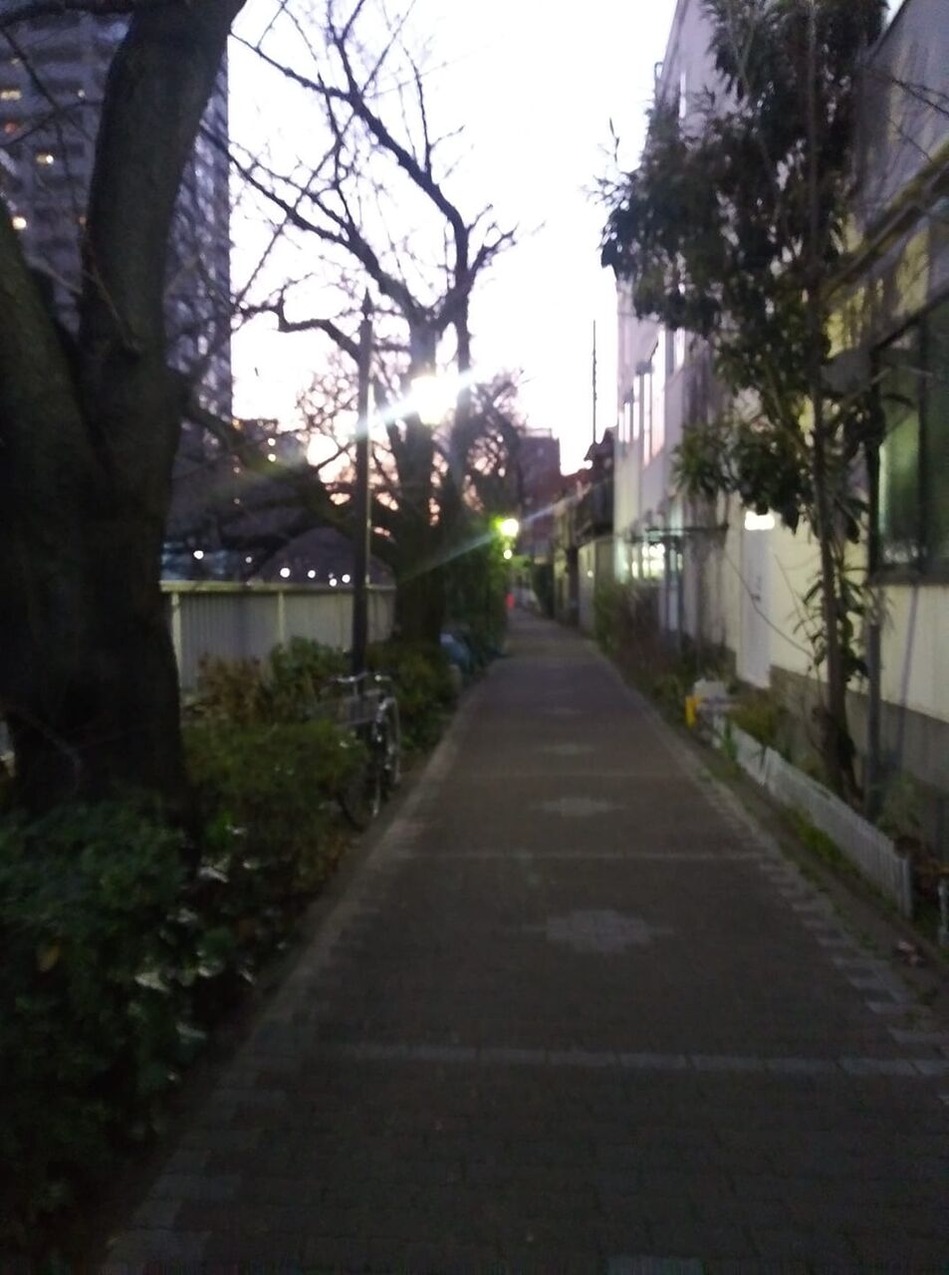 85013845_186238156020703_3779381610558783488_n