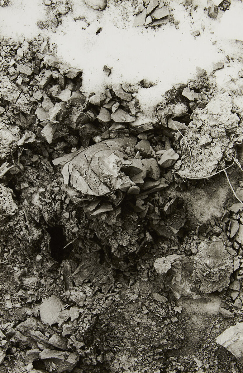 KI_tsuchisuteba_01_dev-3