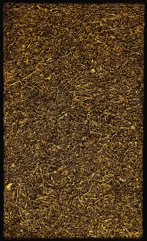 TakuroNOGUCHI_I think