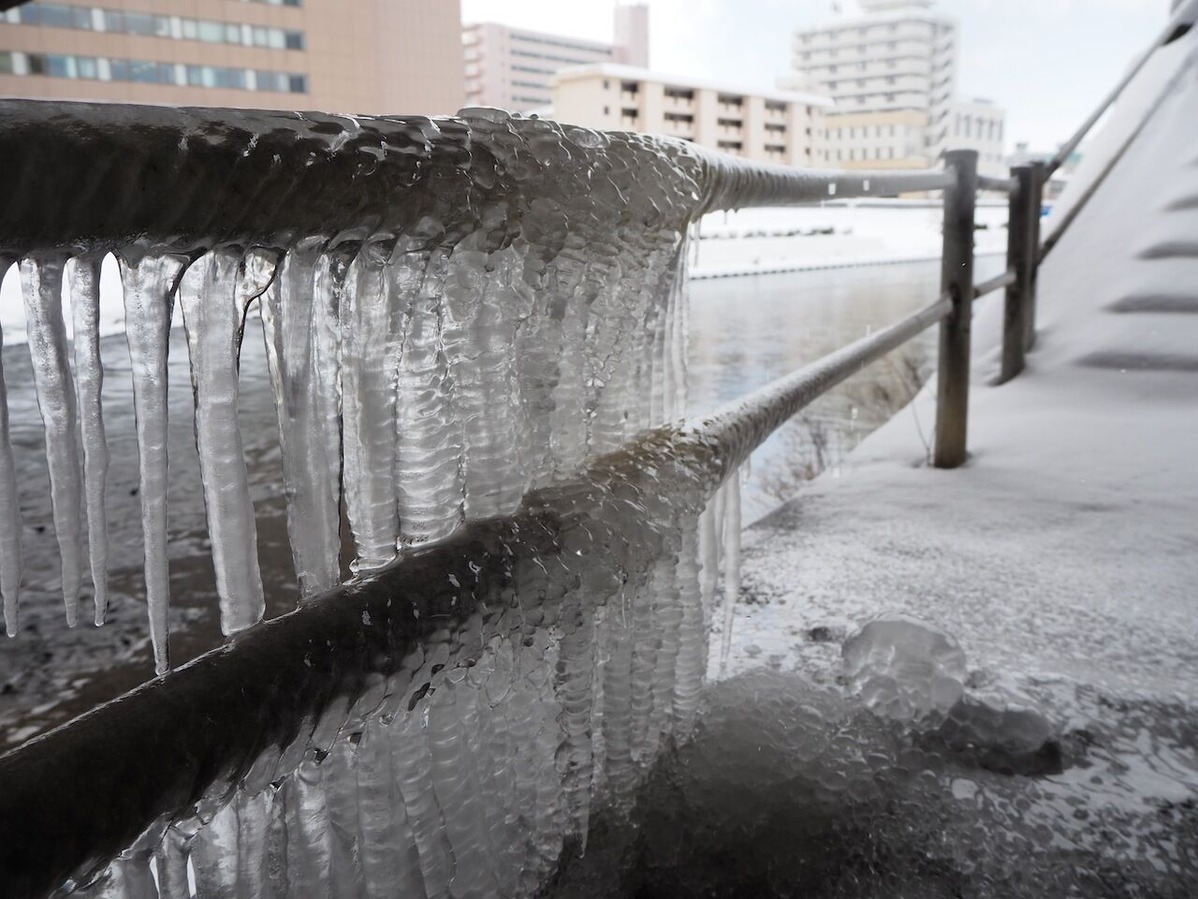202102宇田義久‗写真３
