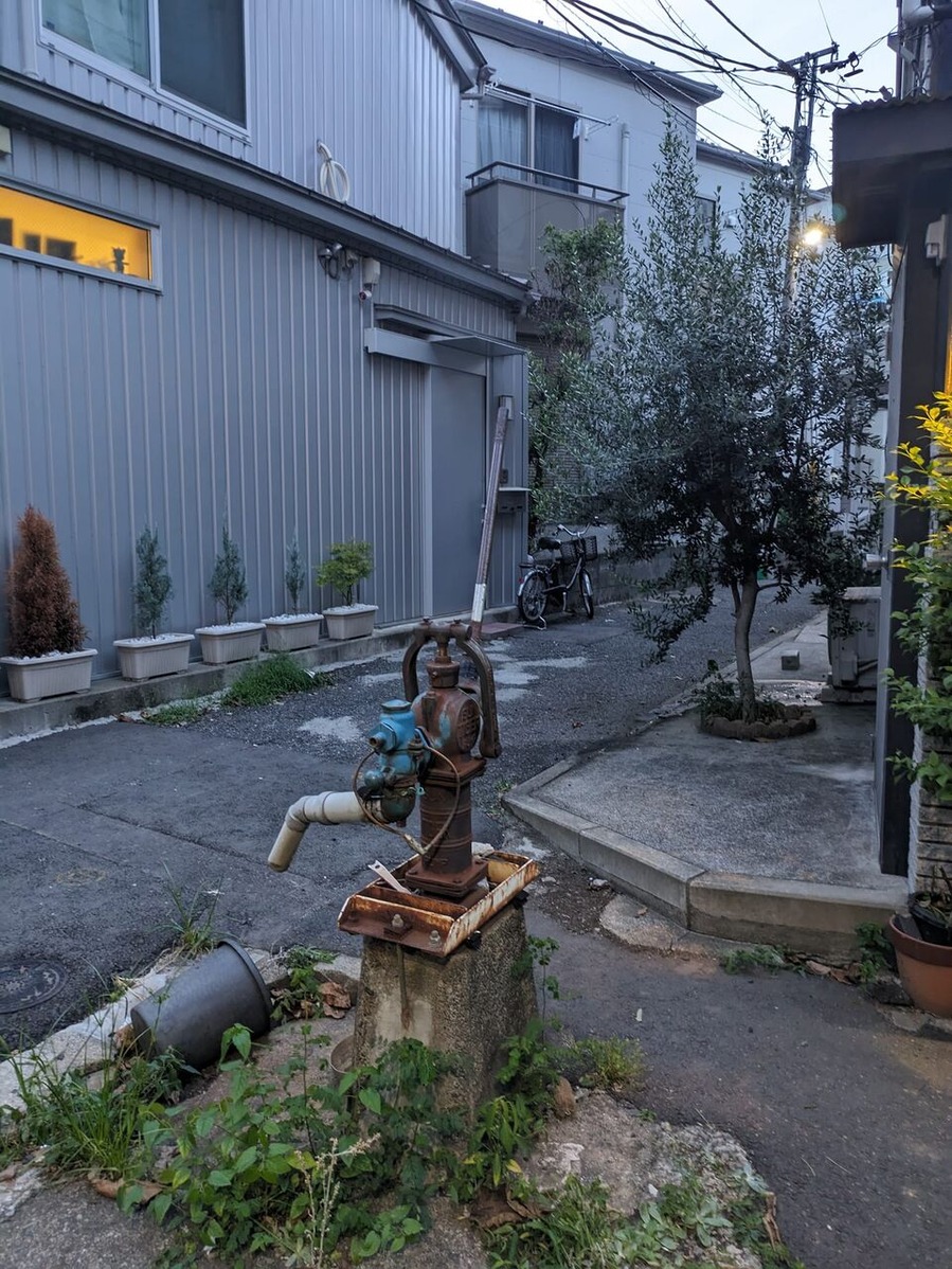 372915874_1011448453499665_6471331713125473779_n