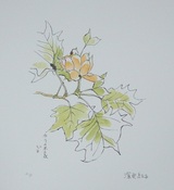 深沢紅子「ゆりの木の花」