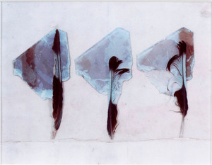 20150725_parker_01_hane-composition