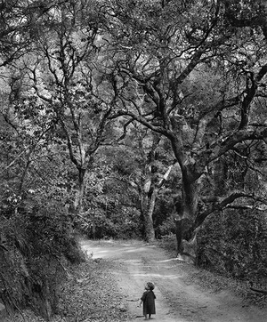 child_on_forest_road_large