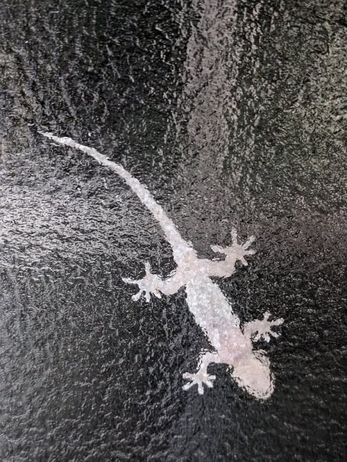 474458319_1324846168826557_607557513910861023_n