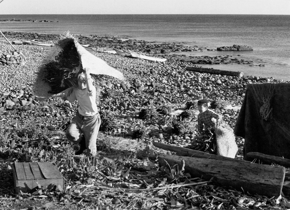 202007平嶋彰彦_ph4-0498_16A-a