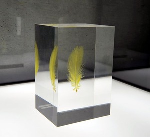 11倉俣史朗　羽