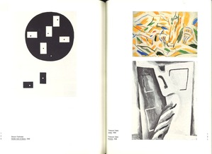 前衛芸術の日本図録120-121Pオノサト・トシノブ