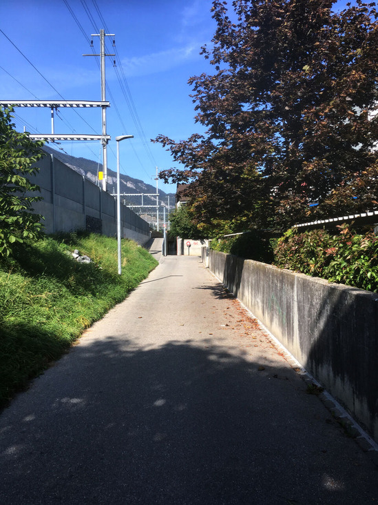 202011杉山幸一郎IMG_05