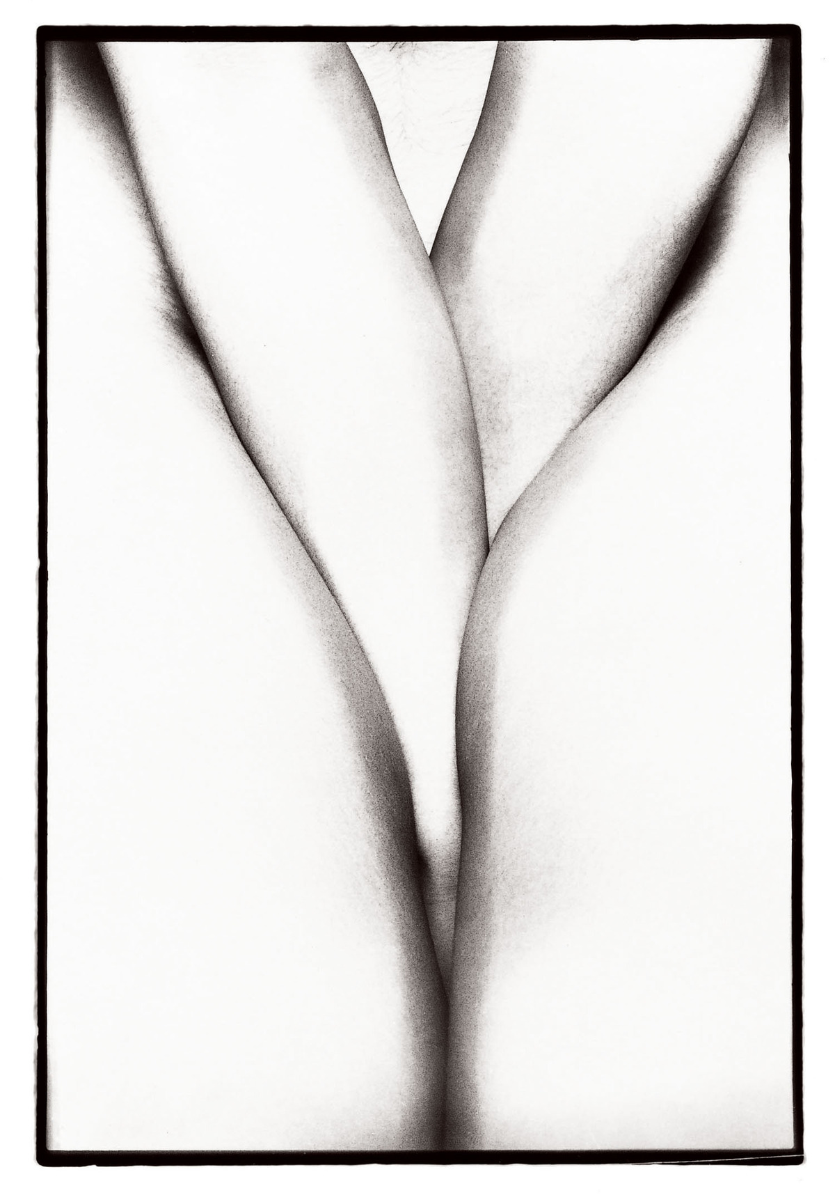 20171109_抱擁#71969