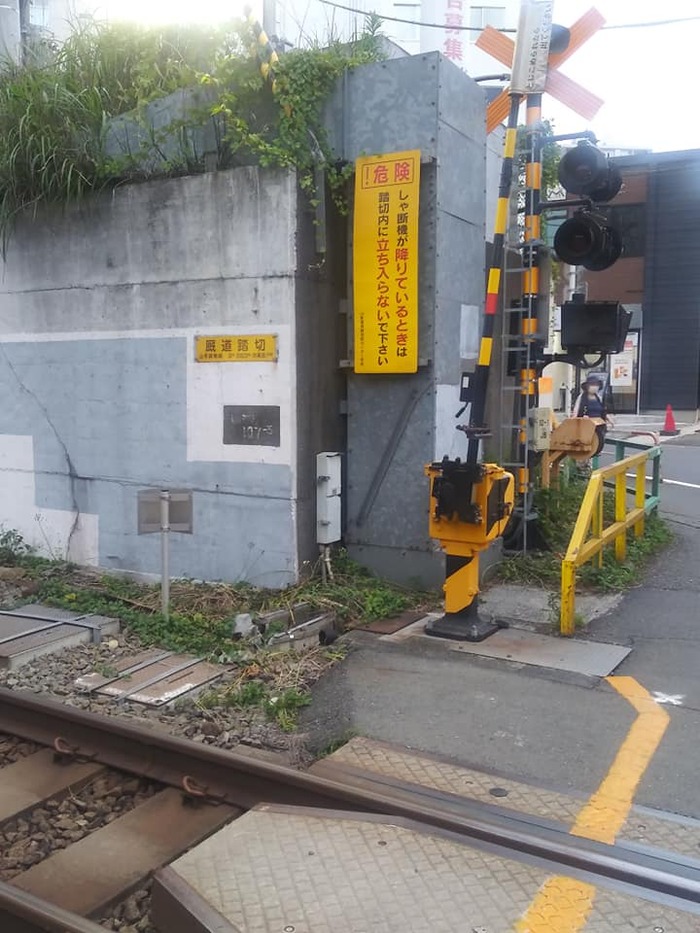 104698943_273391663972018_5093497869470206756_n (1)