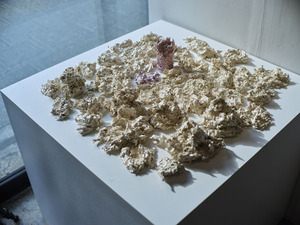 回帰記憶１_2021年_セラミック_焼成土_撮影_大谷健二