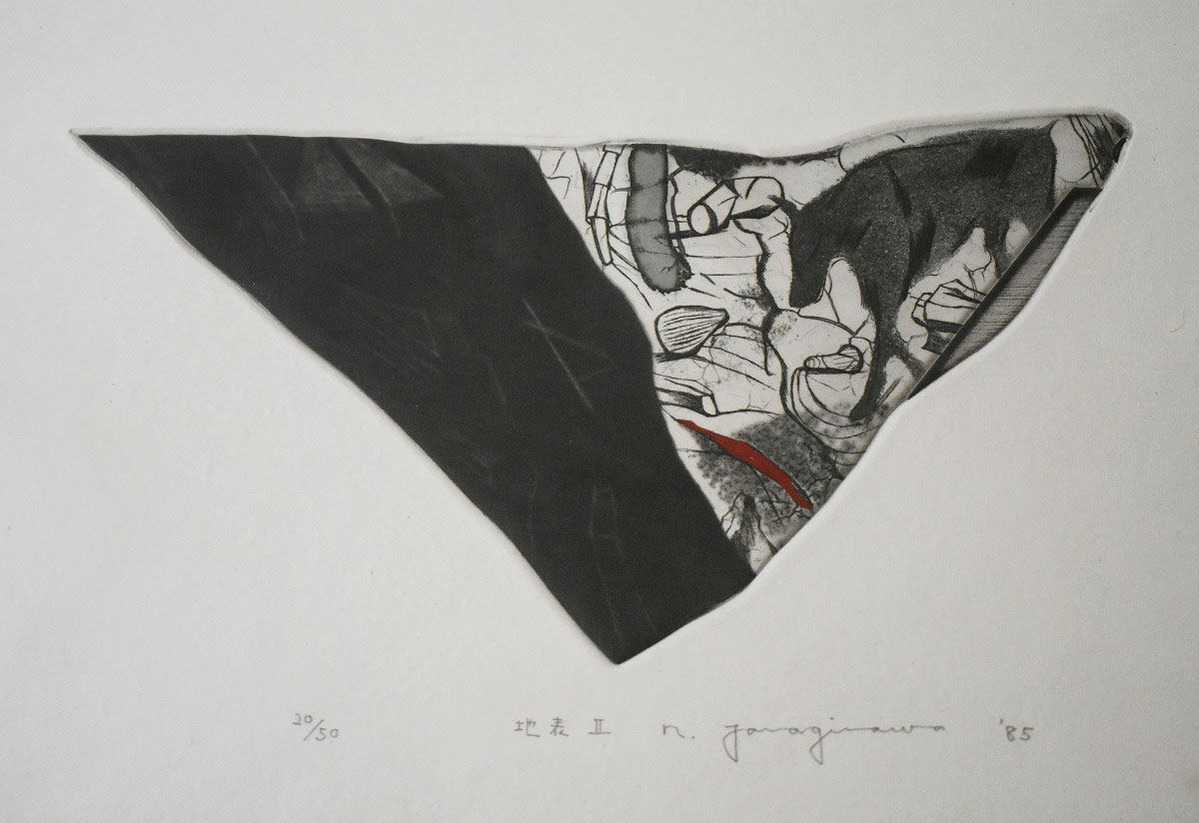 柳澤紀子　地表　II