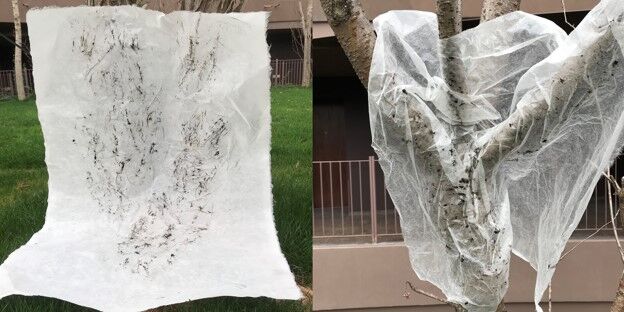 20200317_宮森敬子画像9