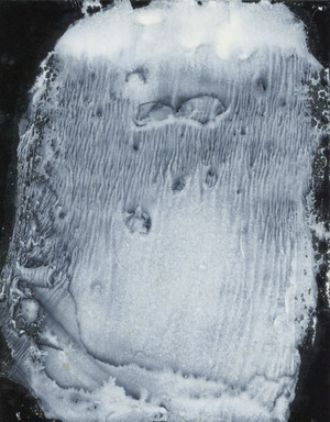 takiguchi2014_III_43