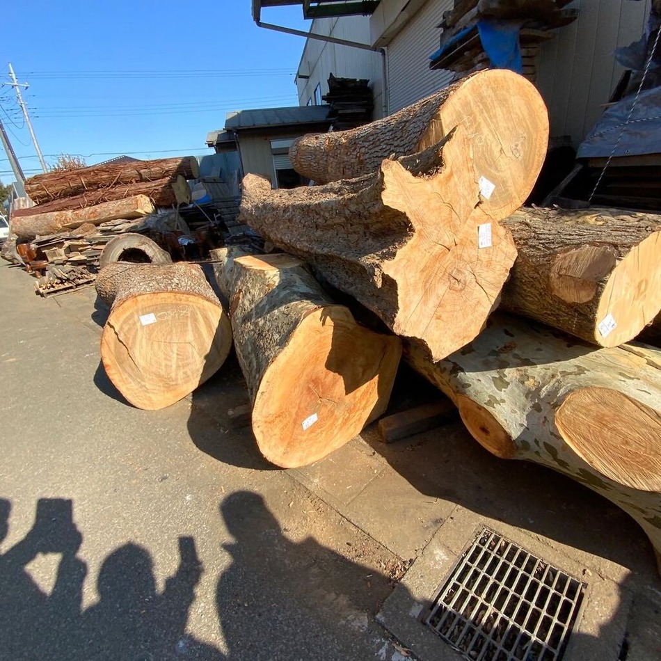 279062449_5297731803675518_7756187362267061450_n