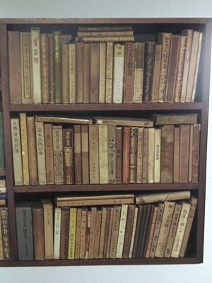 02蔵書写真パネル