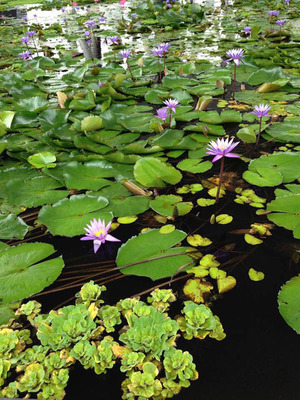 hamada_3_1 (16) のコピー