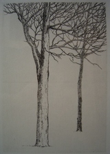 駒井哲郎「二樹」