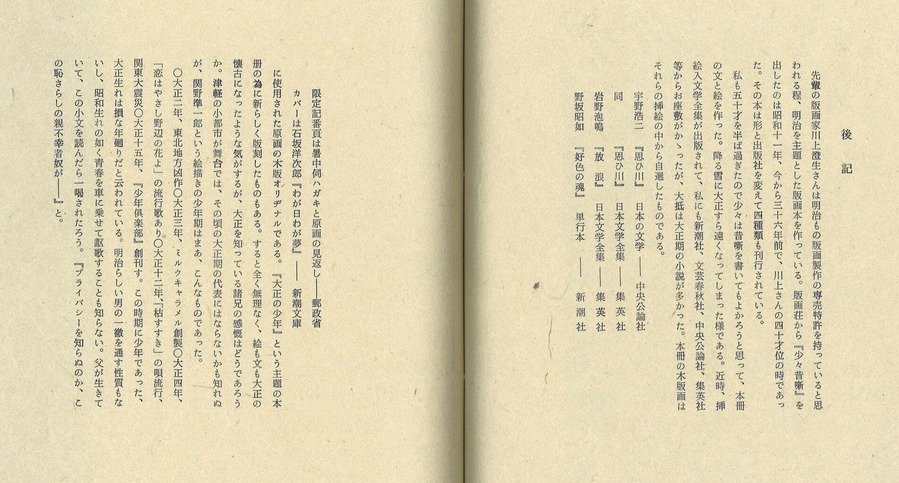 関野準一郎大正の少年後記