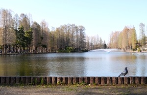 埼玉県立近代美術館_14