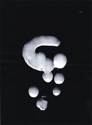 20161006_takiguchi2014_II_21