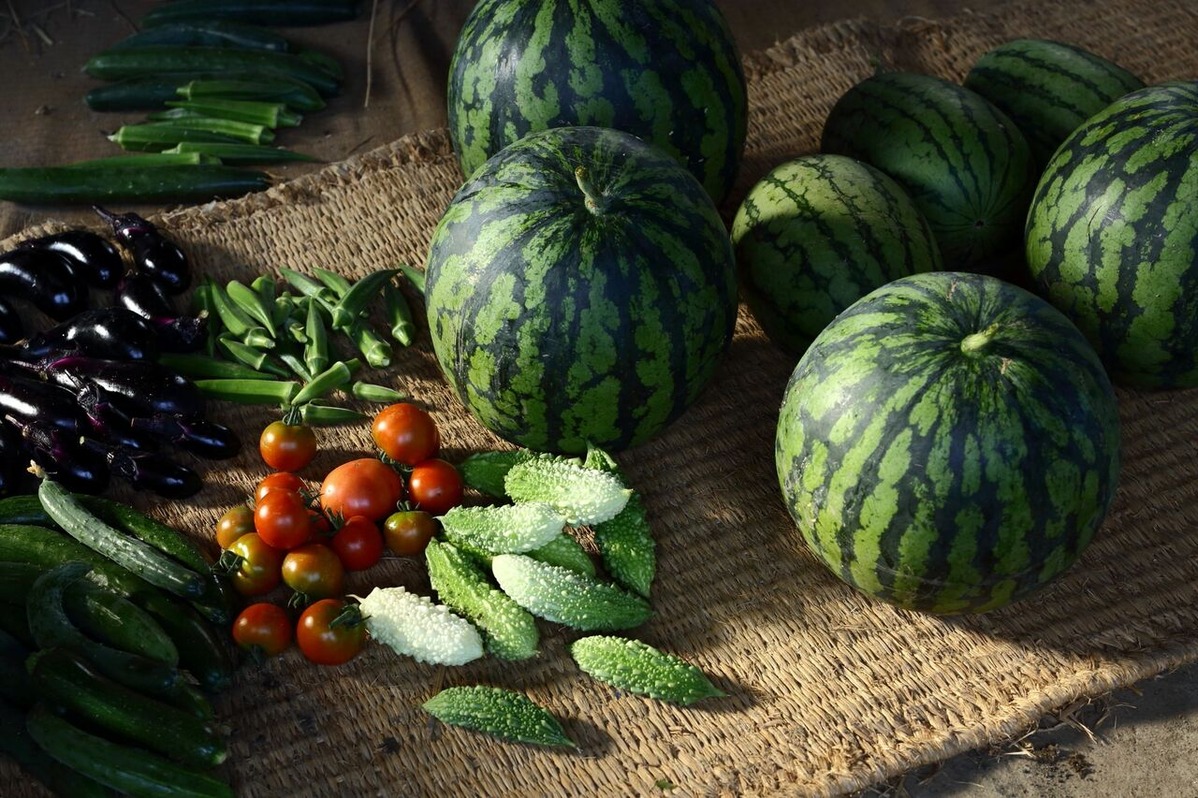 202111平嶋彰彦_ph5