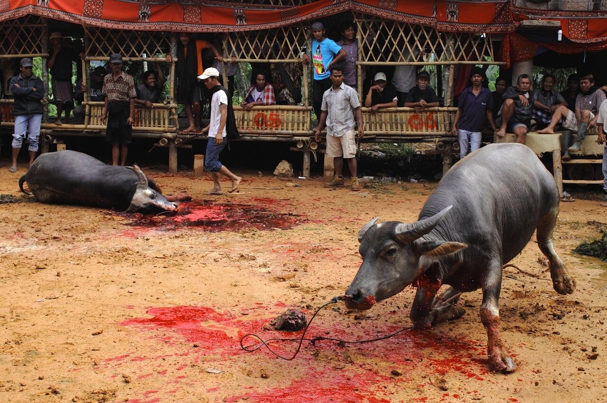 202101平嶋彰彦ph2-IMG_9544-a