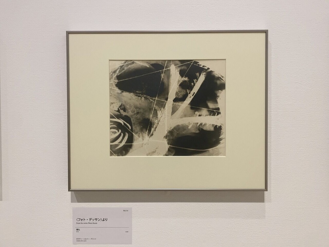 20220622東京都写真美術館「アヴァンガルド勃興」展 (13)