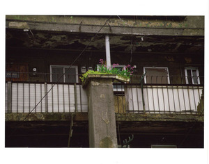 20151102_01ueda_103_dojun_sarue_01