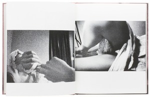 写真集『猫が』中2