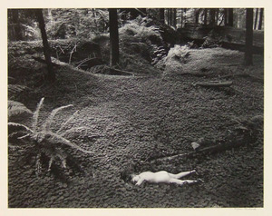 20170729_bullock_02_Child_in_the_forest