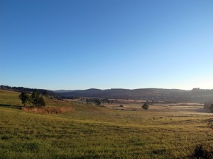 03朝日に輝く牧草地