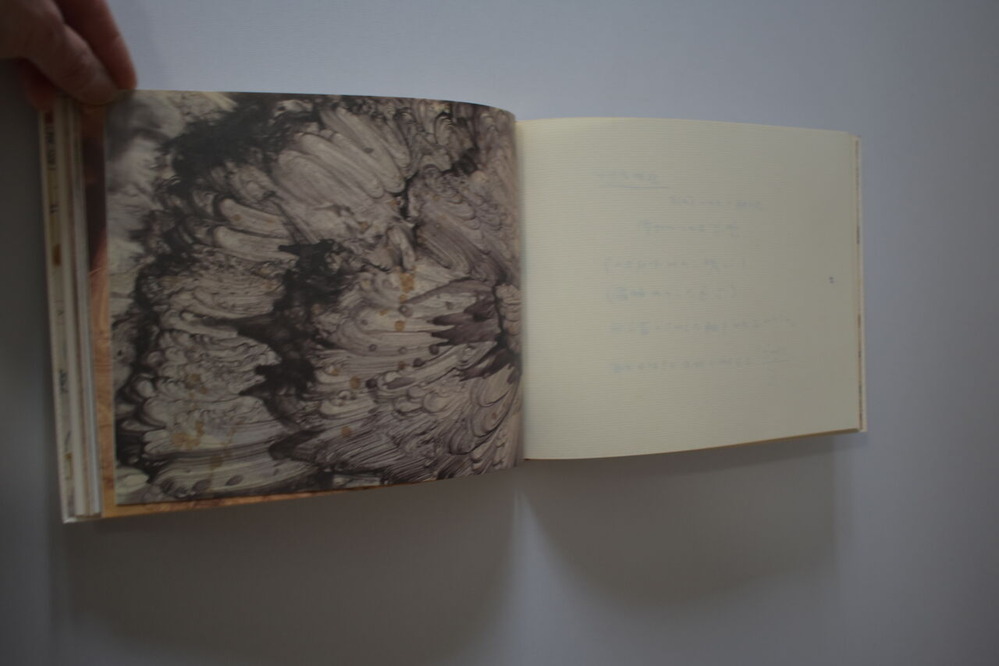 No.26 瀧口修造＋加納「稲妻捕り」 (13)