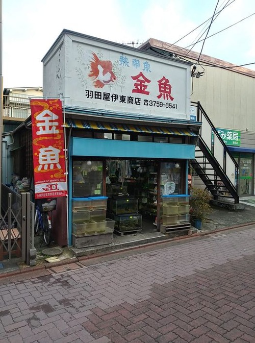 274006956_661154641862383_6634334009165379675_n