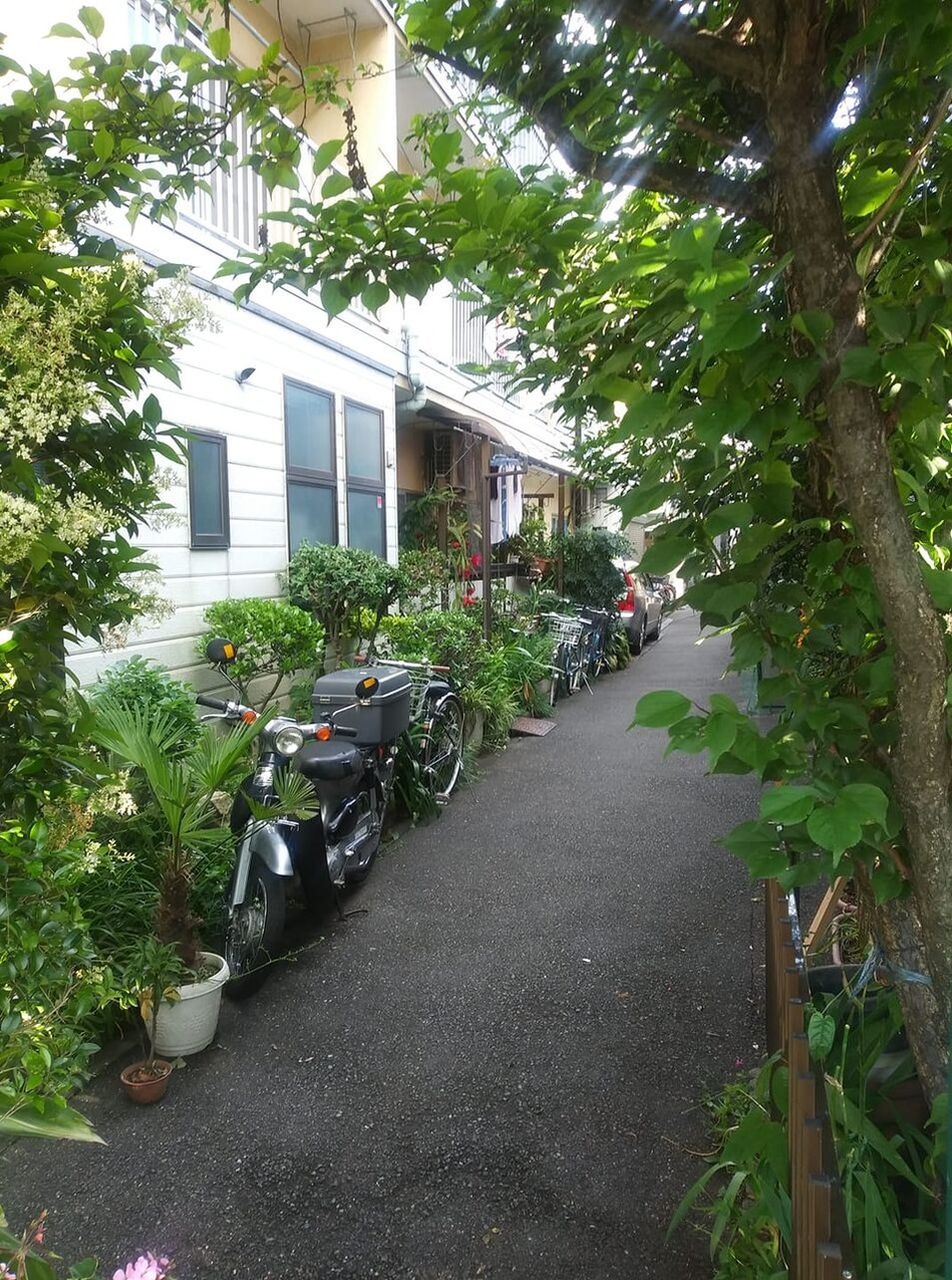 101442080_258783625432822_8527688343943643136_n