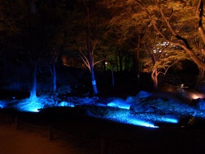 20171121_六義園_16