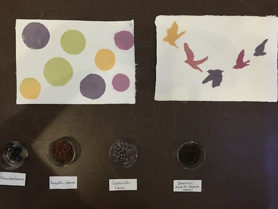 202204杉山幸一郎IMG 08