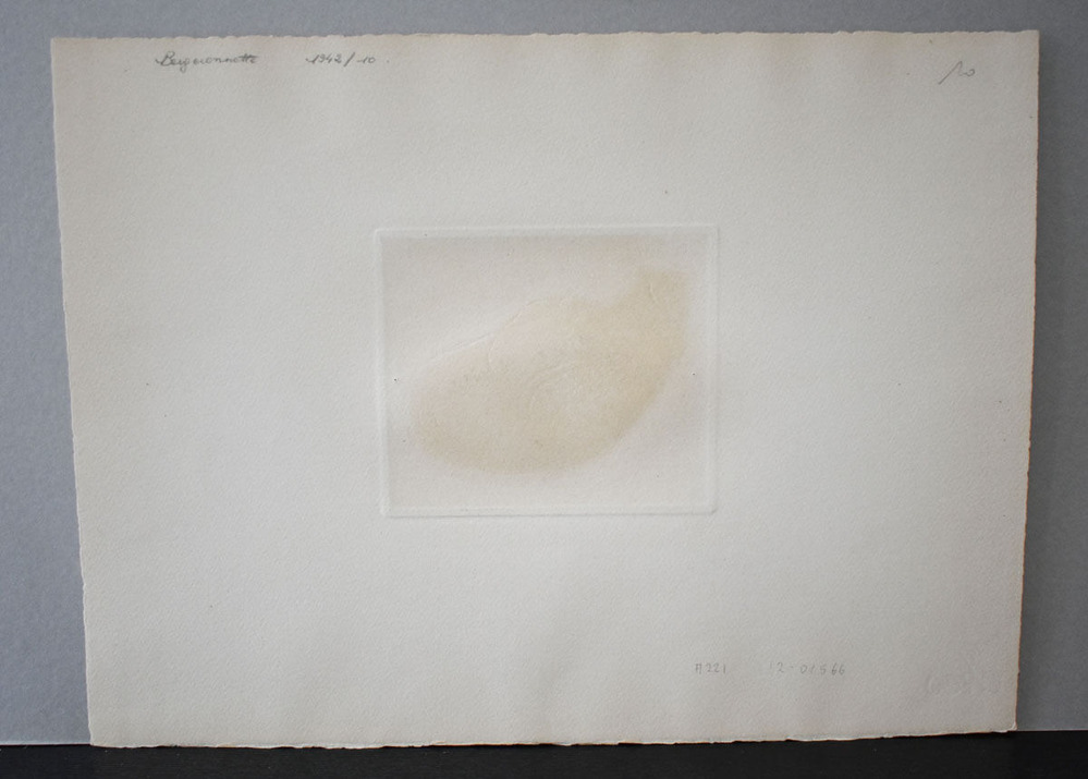 No5 フォートリエ (4)