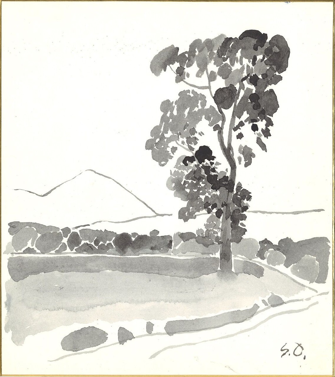 20200411ペシャワール(大沢昌助)