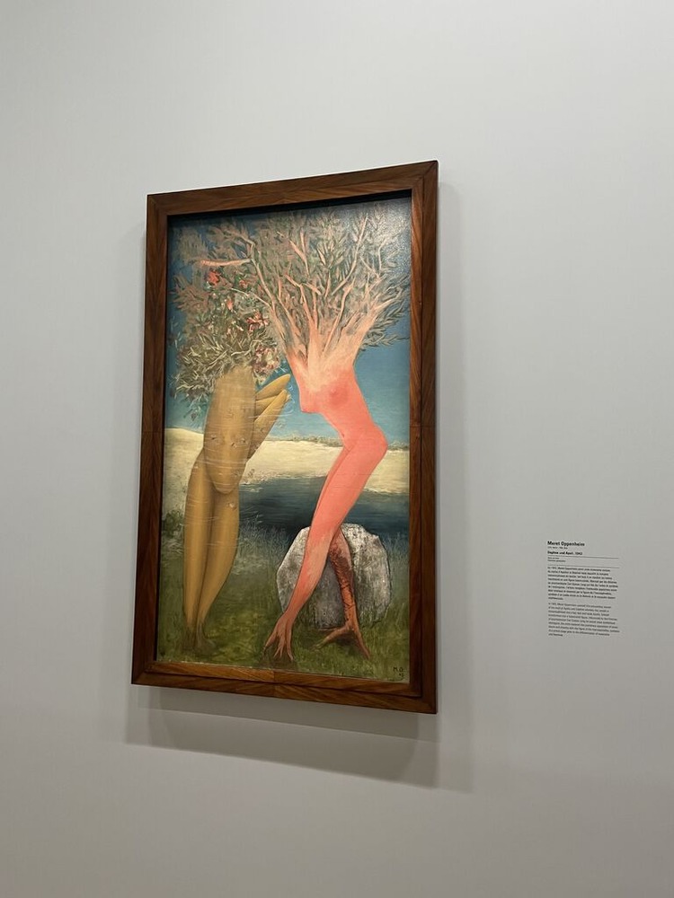 11) Oppenheim melusineIMG_8752