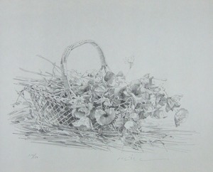 三栖右嗣「アマポーラ」600