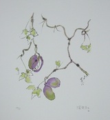 深沢紅子「あけび」