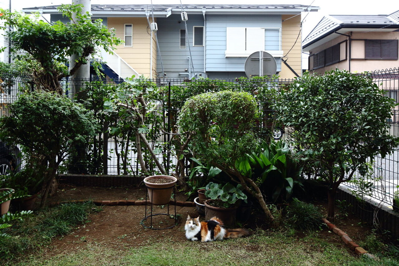 HIRASHIMA_Akihiko2305_3